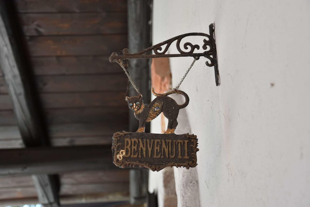 B&B La Dolce Vita Priocca Bagian luar foto